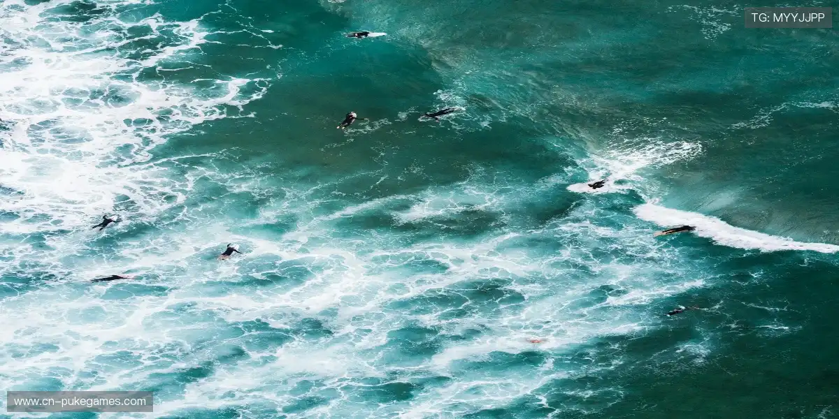 🌐📺 全球直播，同步狂欢！